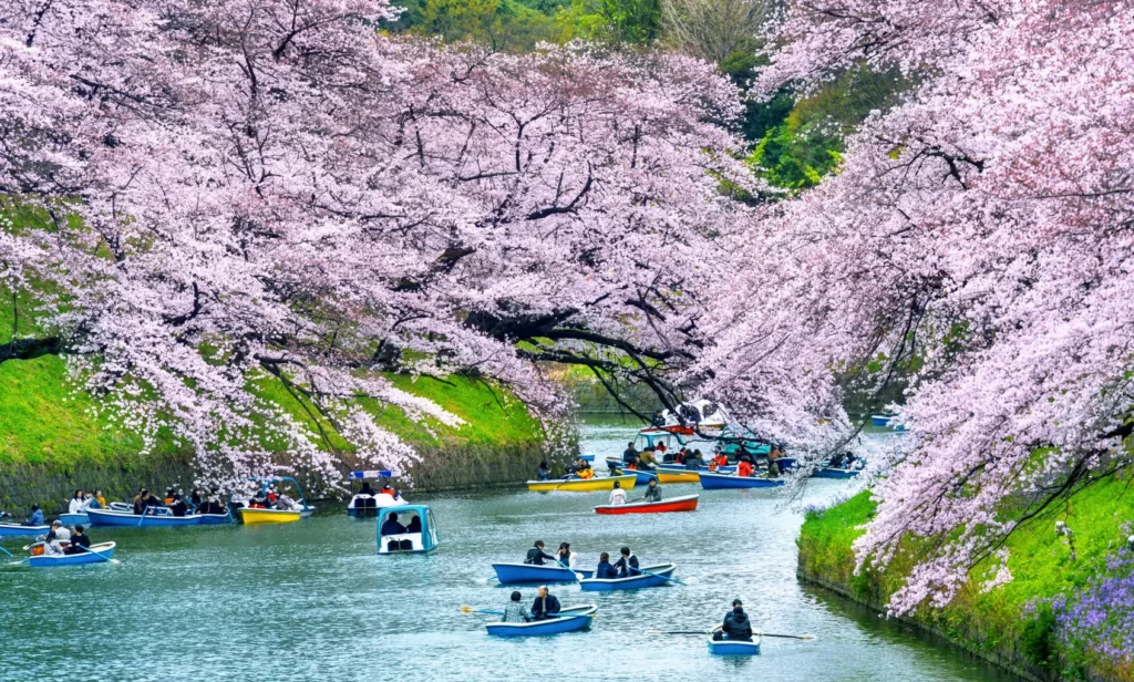 Best Places to Visit in Japan