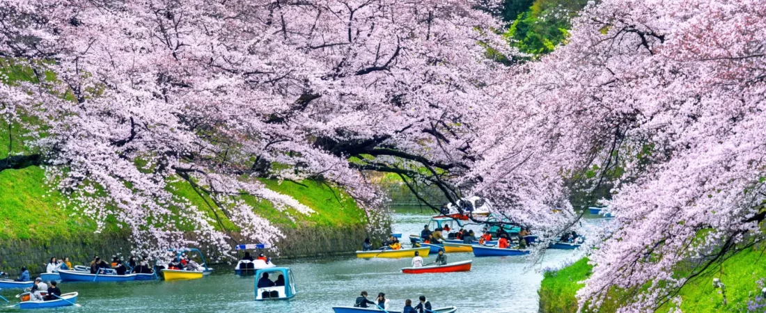 Best Places to Visit in Japan