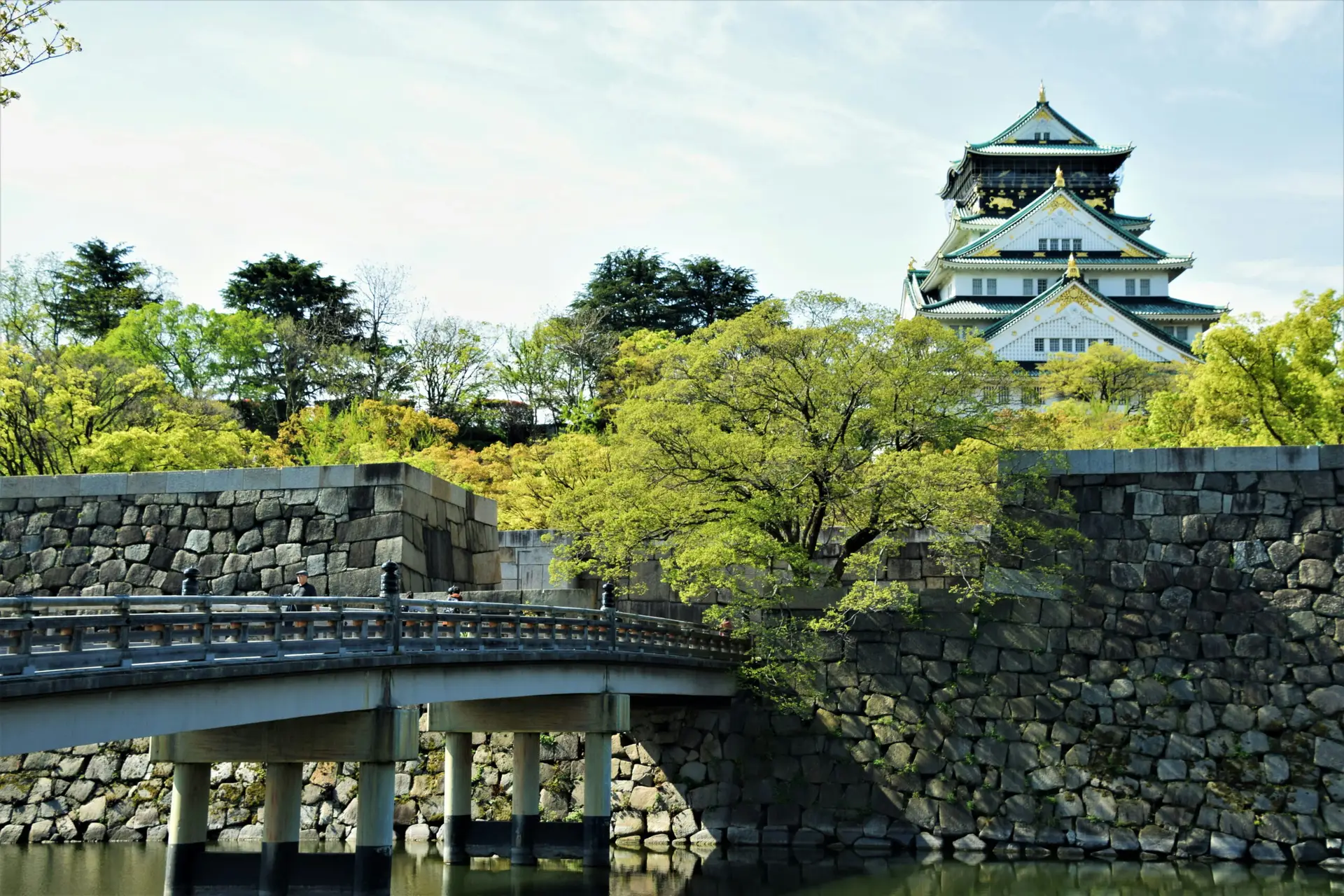 Osaka Castle surrounded by green trees and traditional stone walls in Japan