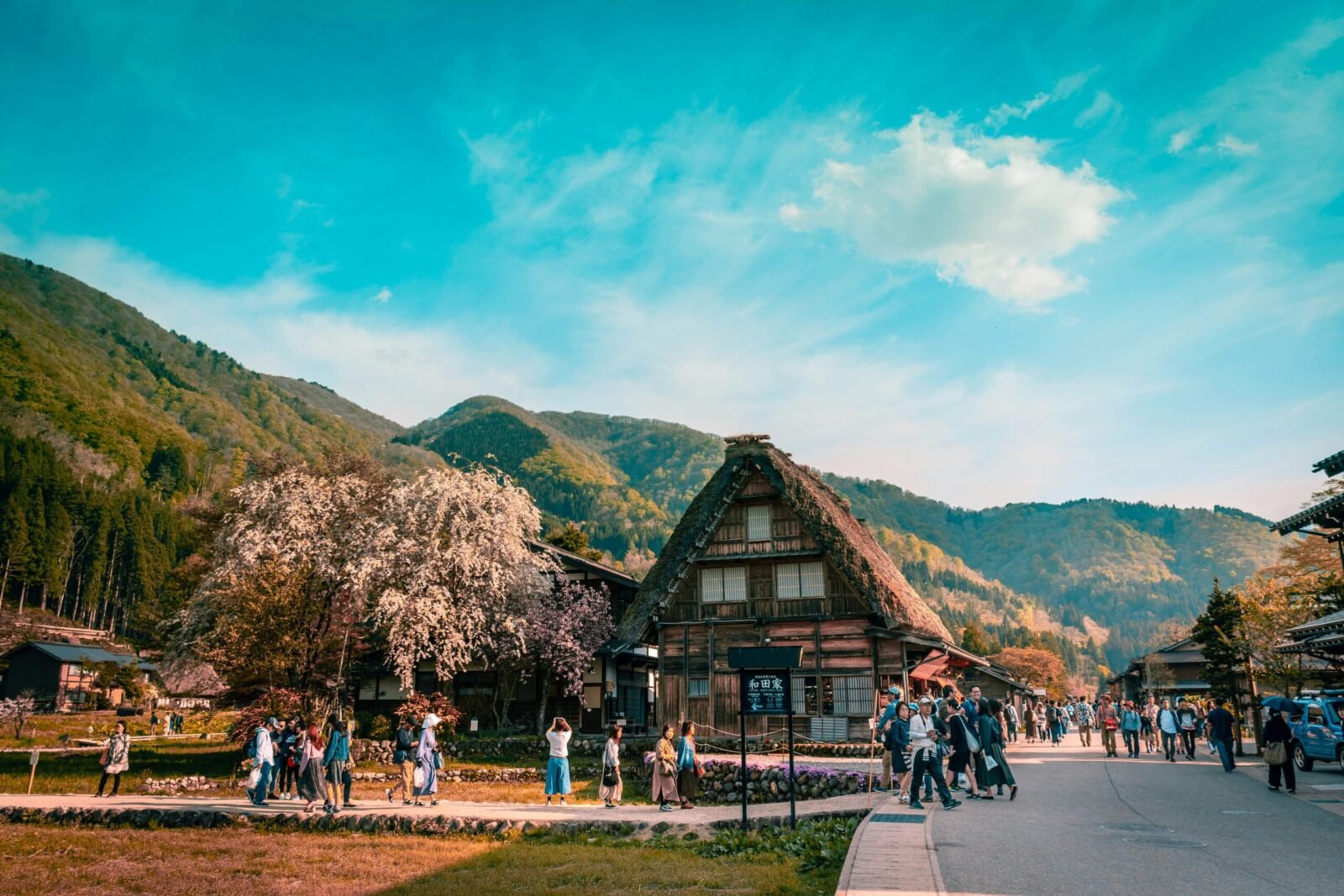Traditional steep-roofed wooden Gassho-zukuri farmhouses surrounded by blooming cherry blossoms and lush green mountains under a bright blue sky in Shirakawa-go, Japan.
